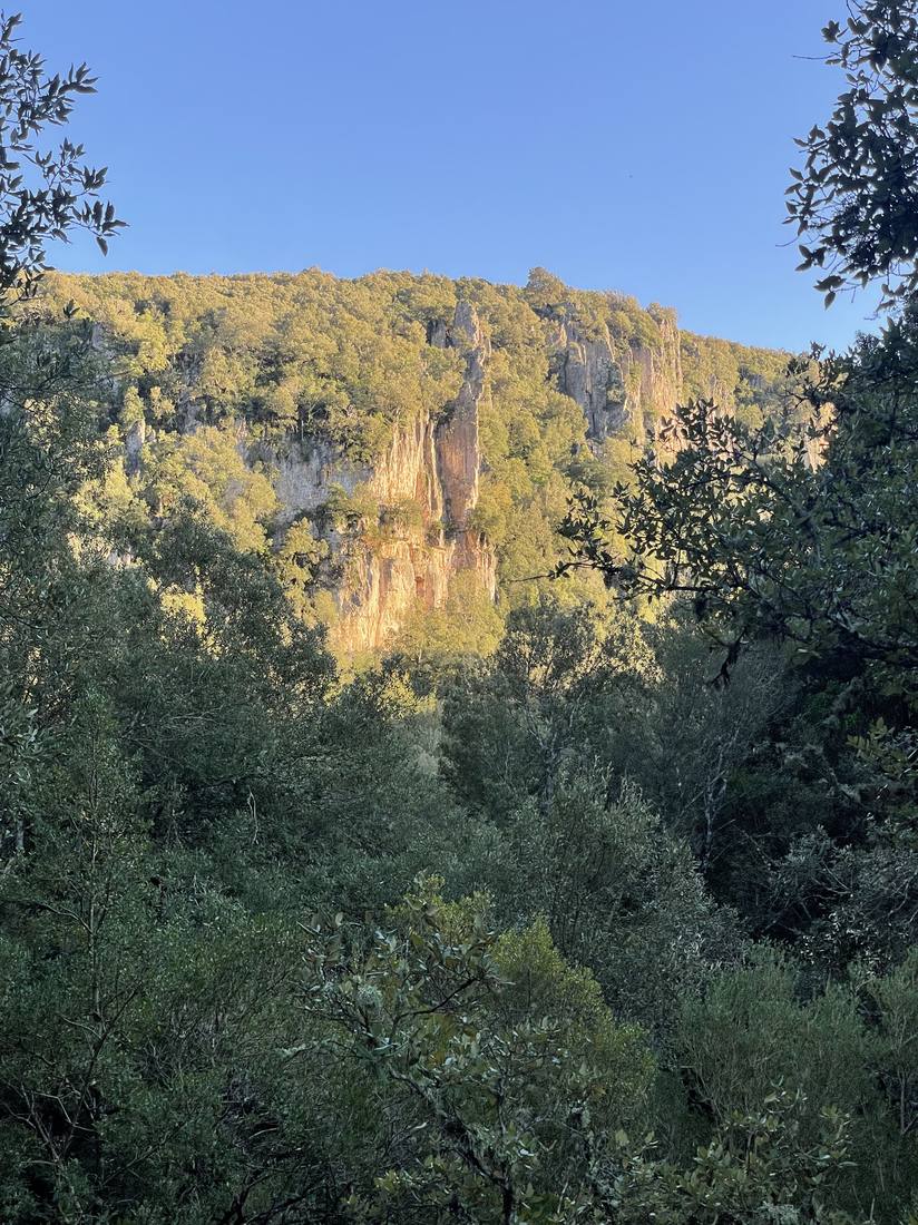 Limestone cliff above forest